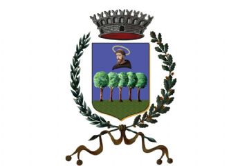 Convocazione Consiglio Comunale in seduta straordinaria